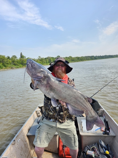 Channel Catfish
