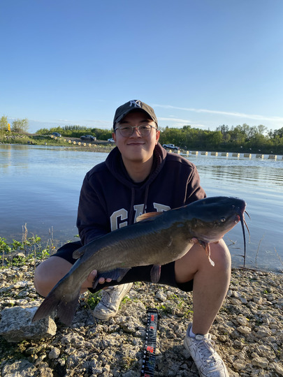 Channel Catfish