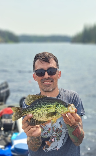 Black Crappie