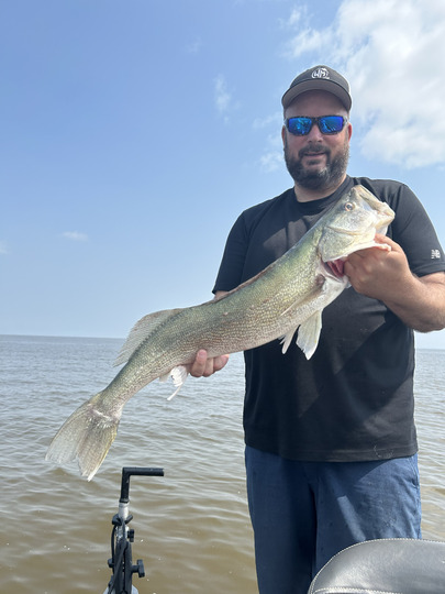 Walleye