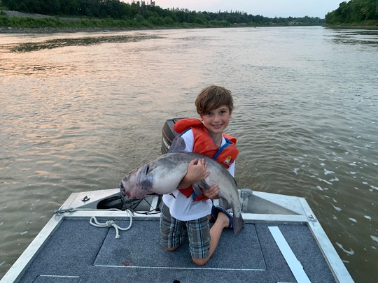 Channel Catfish