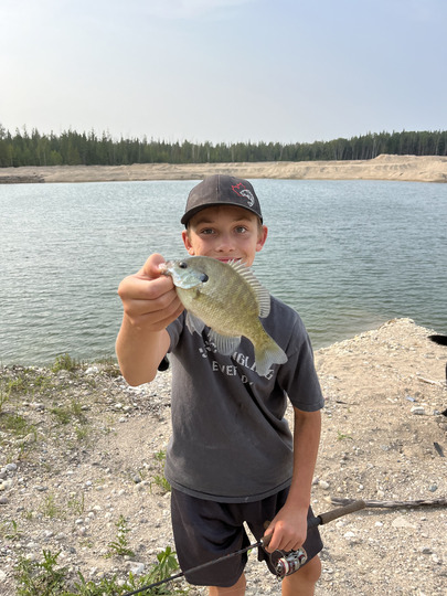 Sunfish