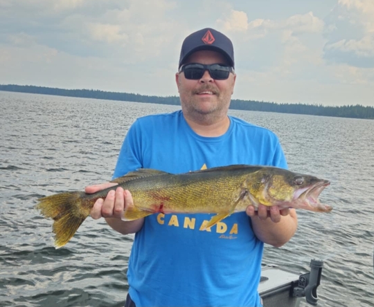 Walleye