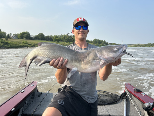 Channel Catfish