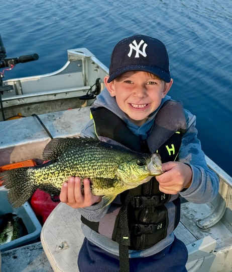 Black Crappie