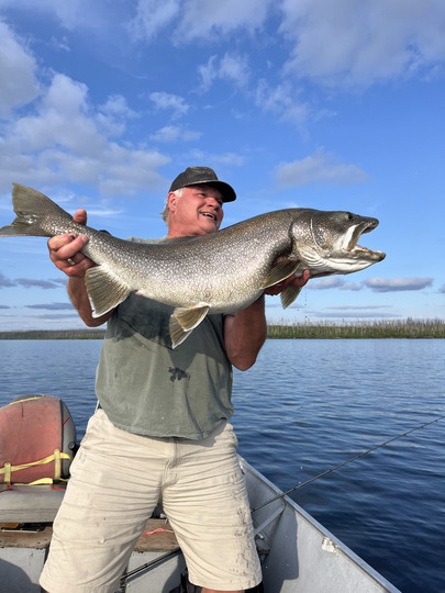 Lake Trout