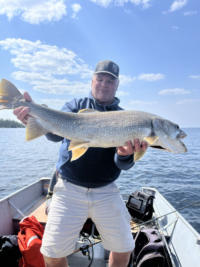 Lake Trout