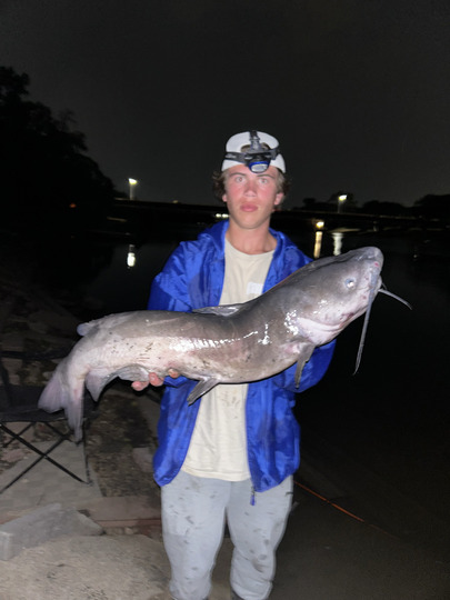 Channel Catfish