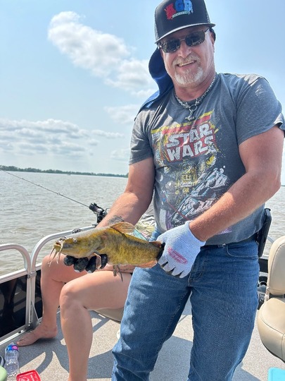 Bullhead