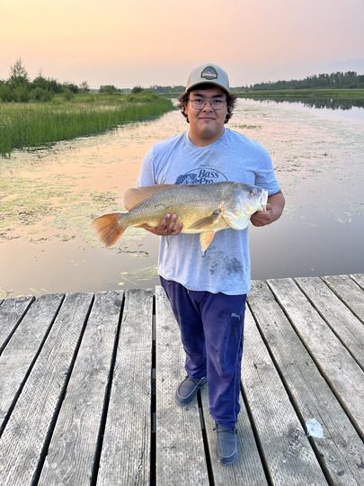 Freshwater Drum