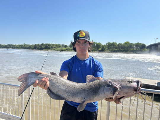 Channel Catfish