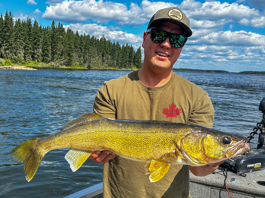 Walleye