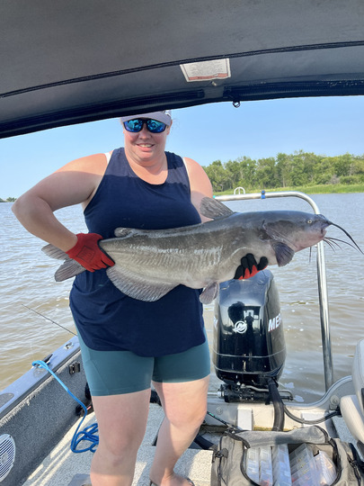 Channel Catfish
