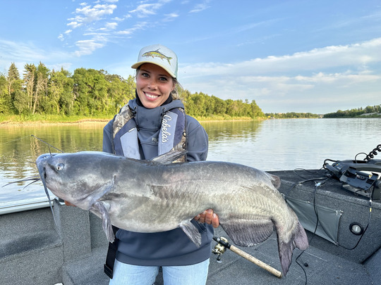 Channel Catfish