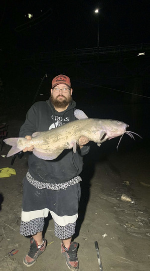 Channel Catfish