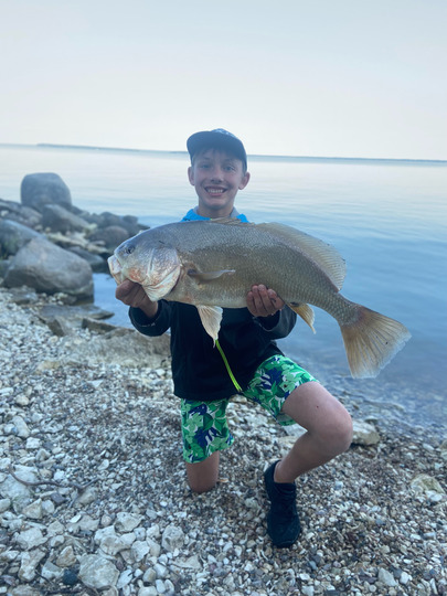 Freshwater Drum