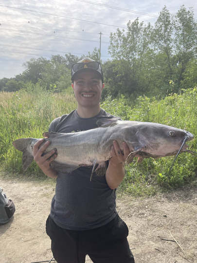 Channel Catfish