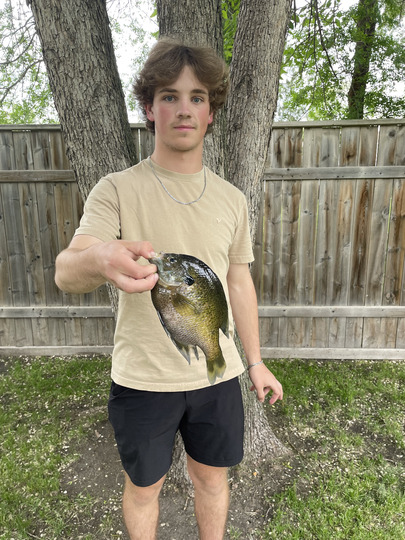 Sunfish