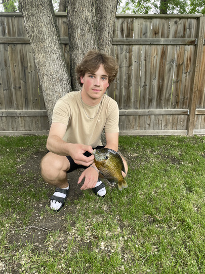 Sunfish