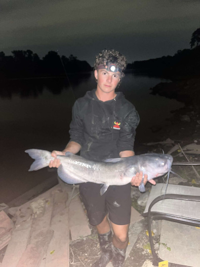 Channel Catfish