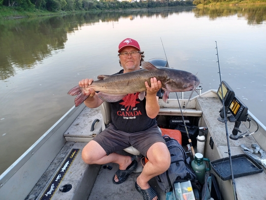 Channel Catfish