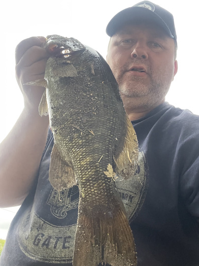 Smallmouth Bass