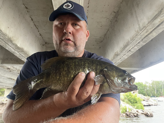 Smallmouth Bass