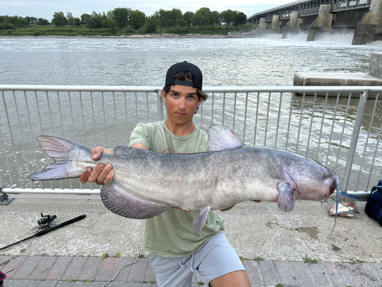 Channel Catfish