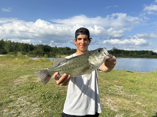 Largemouth Bass