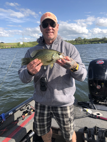 Black Crappie