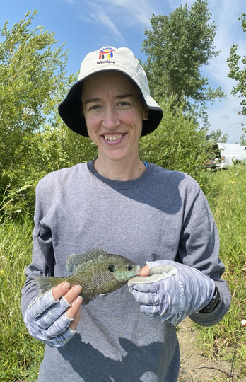 Sunfish