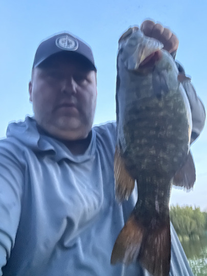 Smallmouth Bass