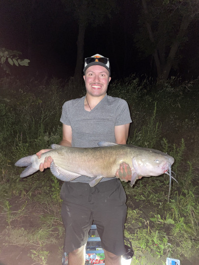 Channel Catfish