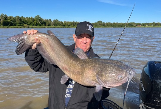 Channel Catfish