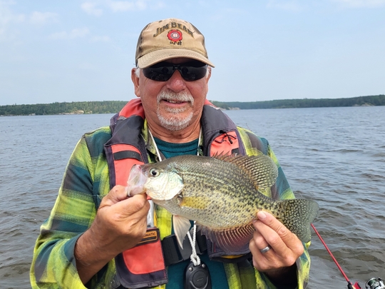 Black Crappie