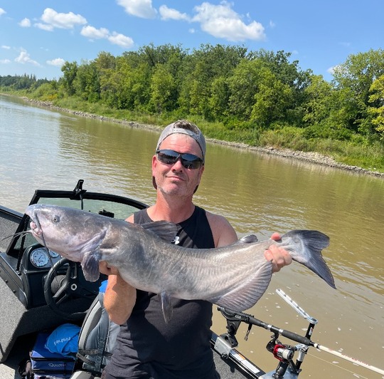 Channel Catfish