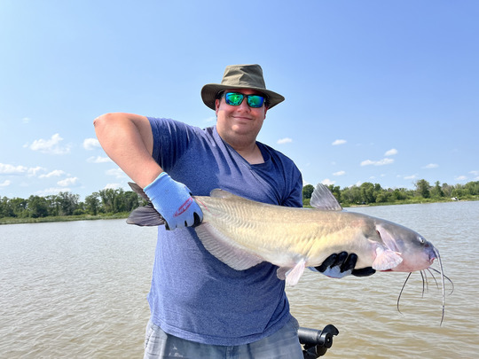 Channel Catfish