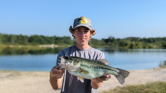 Largemouth Bass