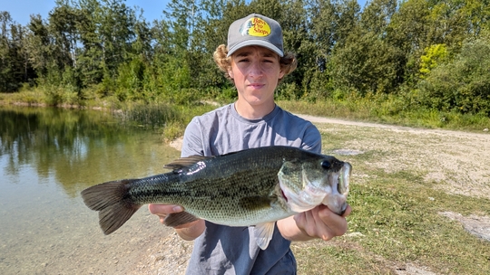 Largemouth Bass