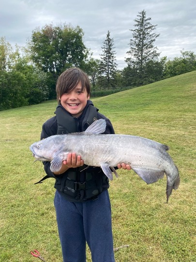 Channel Catfish