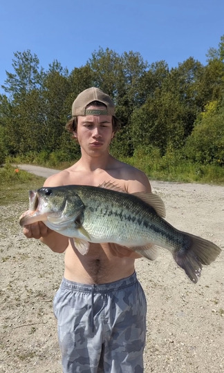 Largemouth Bass