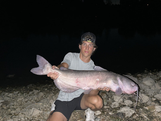 Channel Catfish