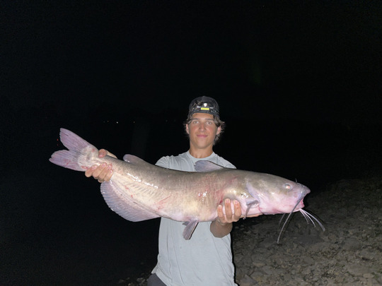 Channel Catfish