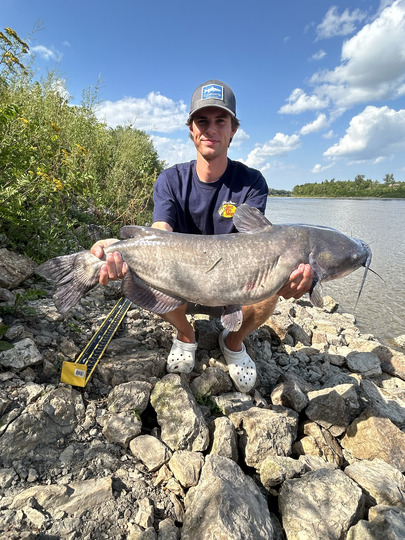 Channel Catfish