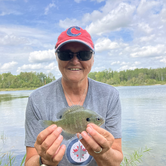 Sunfish