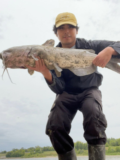 Channel Catfish