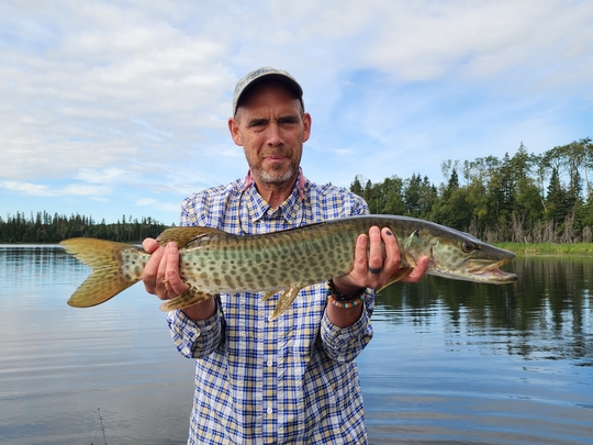 Muskellunge