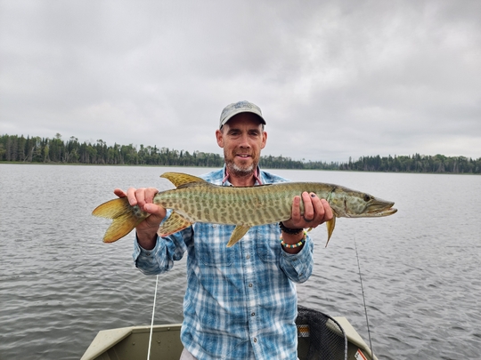 Muskellunge