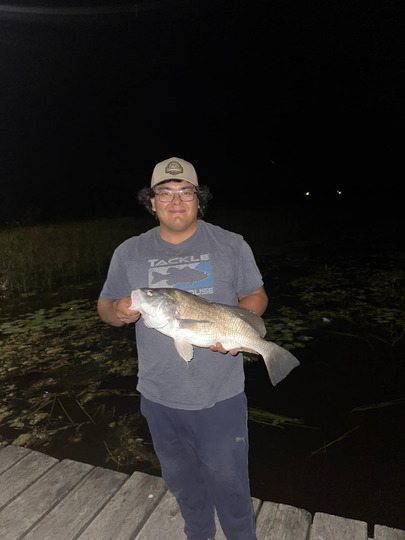 Freshwater Drum