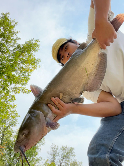 Channel Catfish